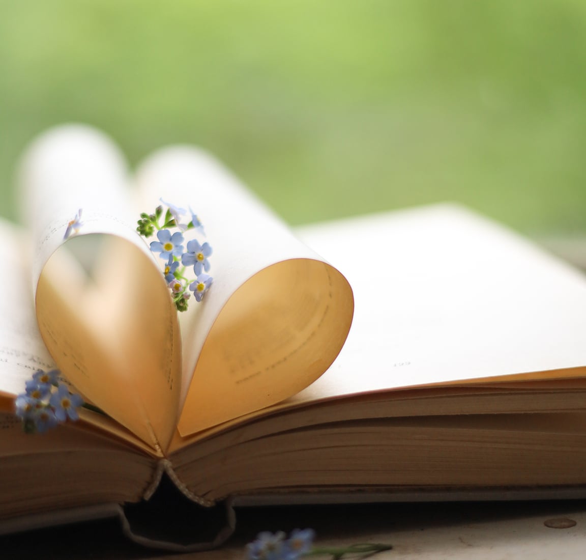 An open book with its pages folded into a heart shape, with small blue flowers tucked between the pages