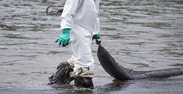 Lower half of a person protective gear wading in water and holding what appears to be part of a large net