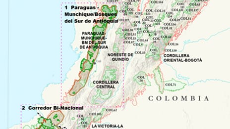 Map showing areas of conservation concern in the Andes