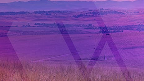 Photo of low hills and grasslands overlaid with a purple tint and tonal geometric shapes