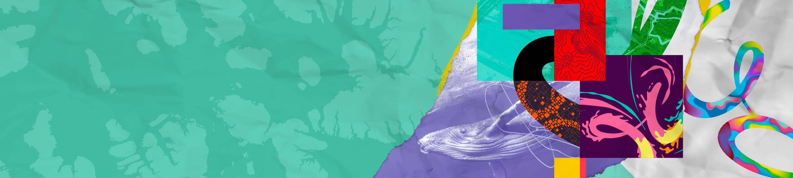 Abstract collage of colorful mapping graphics and a stylized photo of a whale in shades of purple