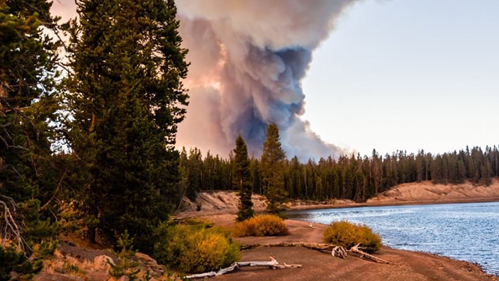 A large plume of wildfire smoke rises behind trees and a lake