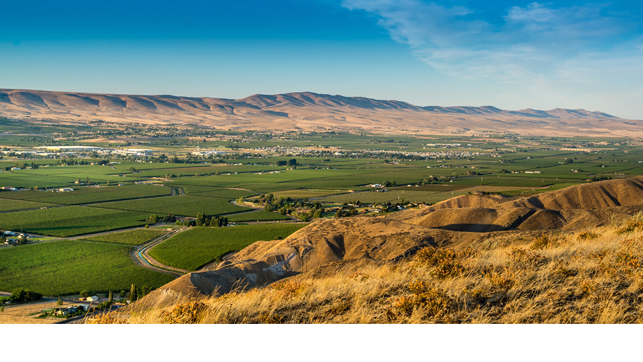 Farmland in a vast green valley hugged by two foothills on a sunny day 