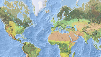A map of the world in dark and light green, beige, blue, and white