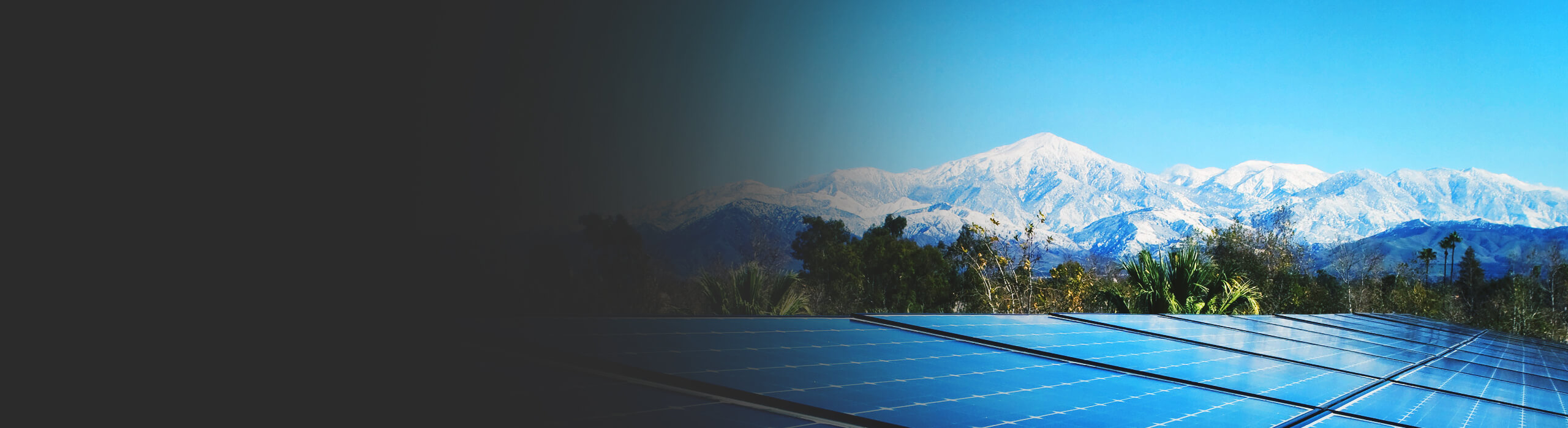 A panorama image of a treetop-filled landscape with snow-covered mountains in the distance and rows of solar panels in the foreground