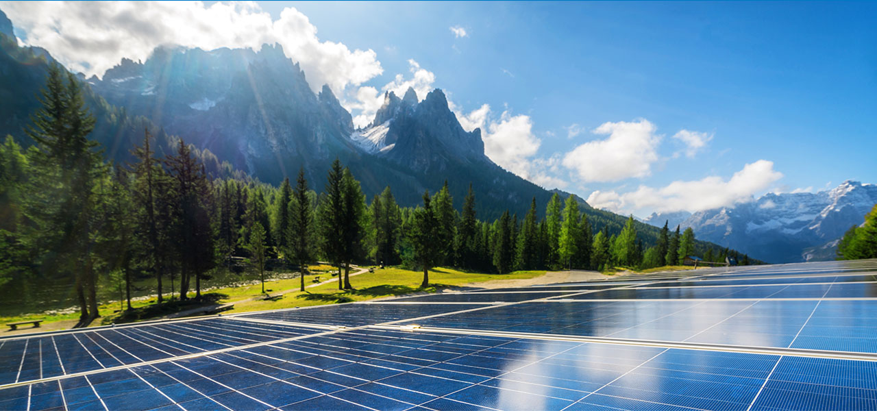 Solar panels set up next to an evergreen forest underneath a mountain range