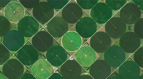 Aerial image of agriculture crop lines 