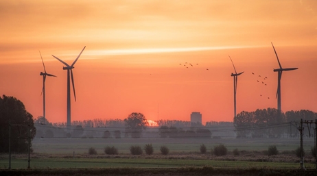 A green field with four large wind turbines in the background