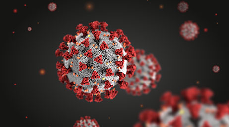 A graphic of a microscope view of a red and white novel coronavirus structure