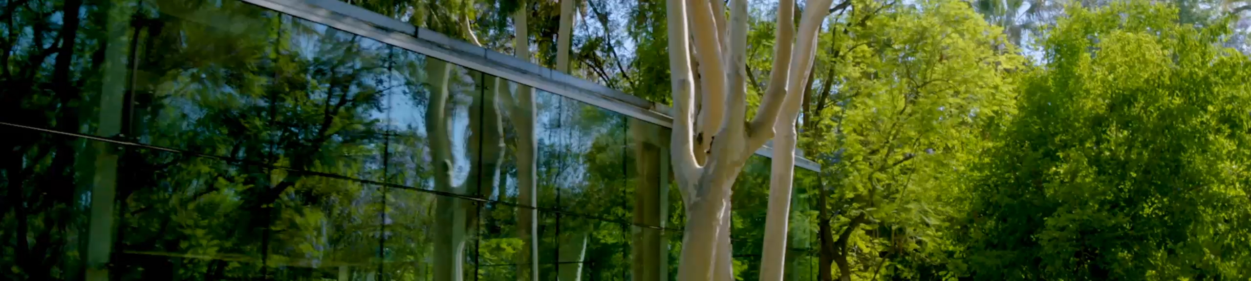 Looping video with slow views of Esri's tree-filled campus