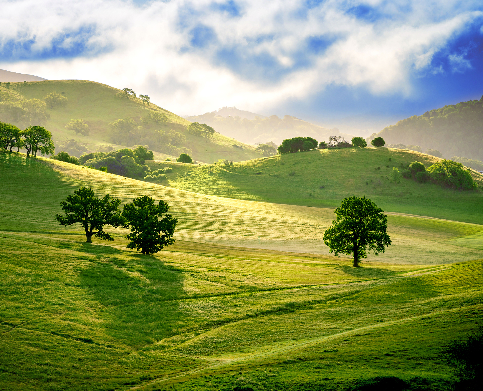 Rolling green hillsides under a bright blue sky, overlaid with a heat map of the oak restoration range in blue on green hillsides