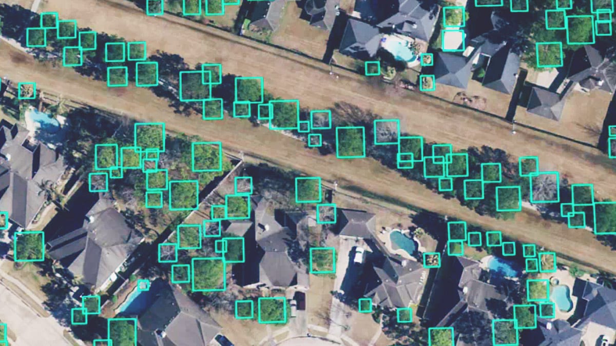 Drone imagery of a residential neighborhood has been analyzed to count trees, which are identified by green boxes