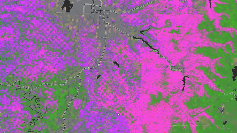Remote sensing imagery of a forest landscape shows areas of concern in purple and pink, while healthy areas are shown in green