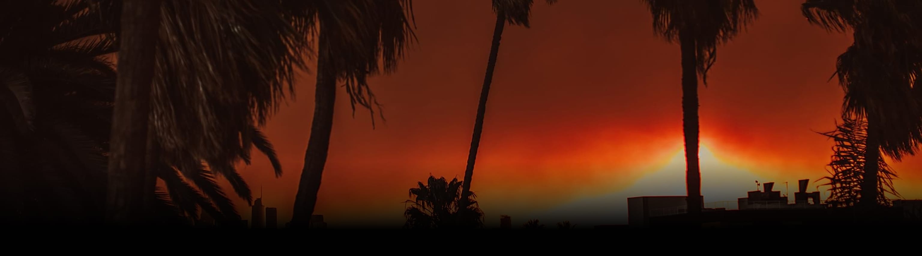 Uma silhueta de palmeiras e edifícios contra um céu alaranjado