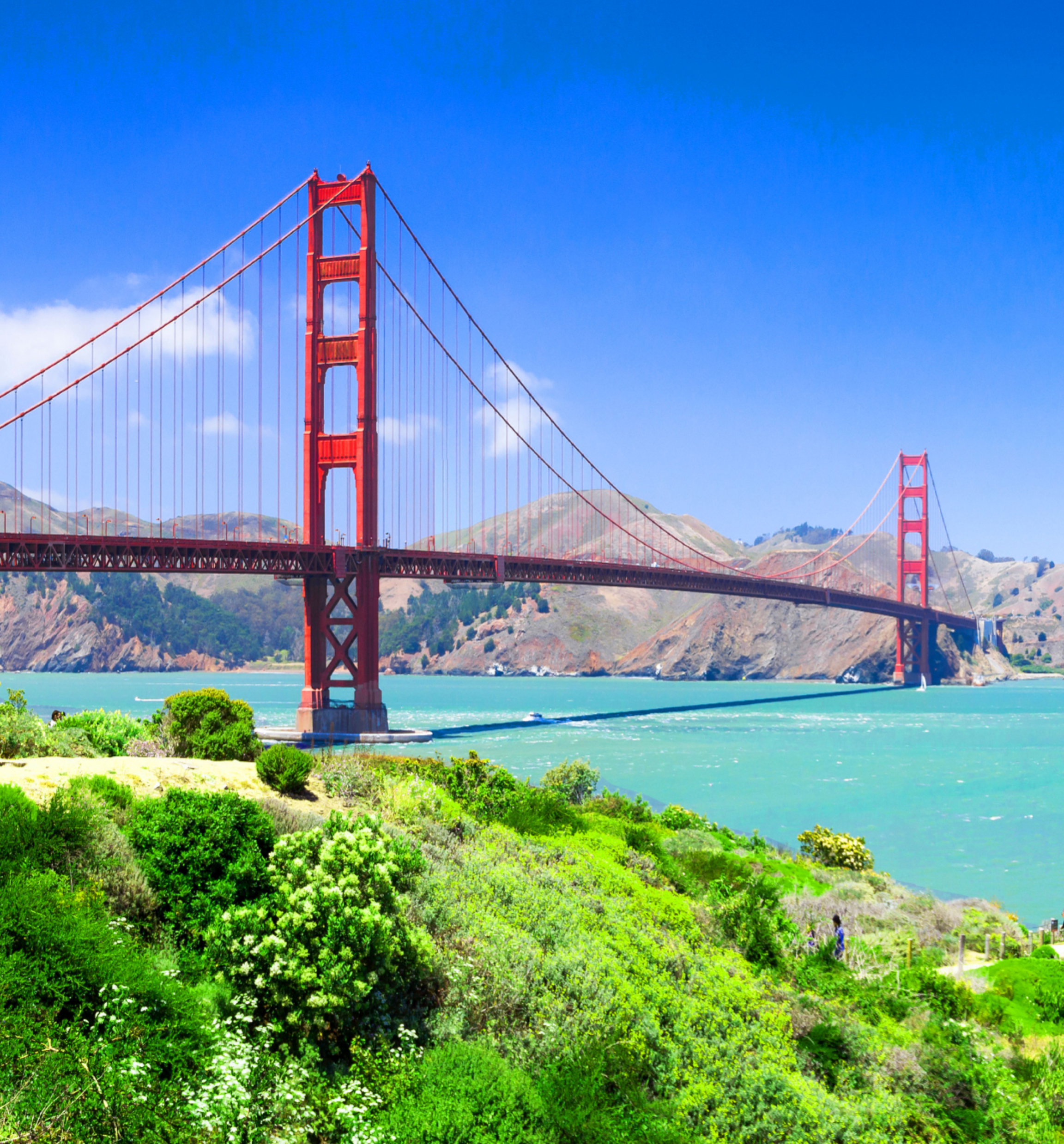 Golden Gate Bridge photo with green vegetation and blue water with an inset video of 3D scenes of downtown San Francisco