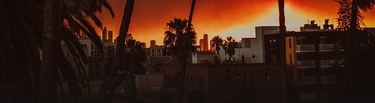 A silhouette of palm trees and buildings against an orange sky