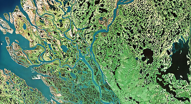 Aerial photo of a river flowing into a delta