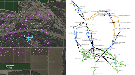 A map scattered with color-coded dots to indicate the type of entities spread across a section of farmland and a link chart that traces the food supply chain