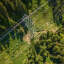 Overhead view of powerlines and green trees