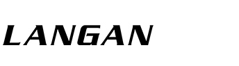 Company logo for Langan Engineering & Environmental Services