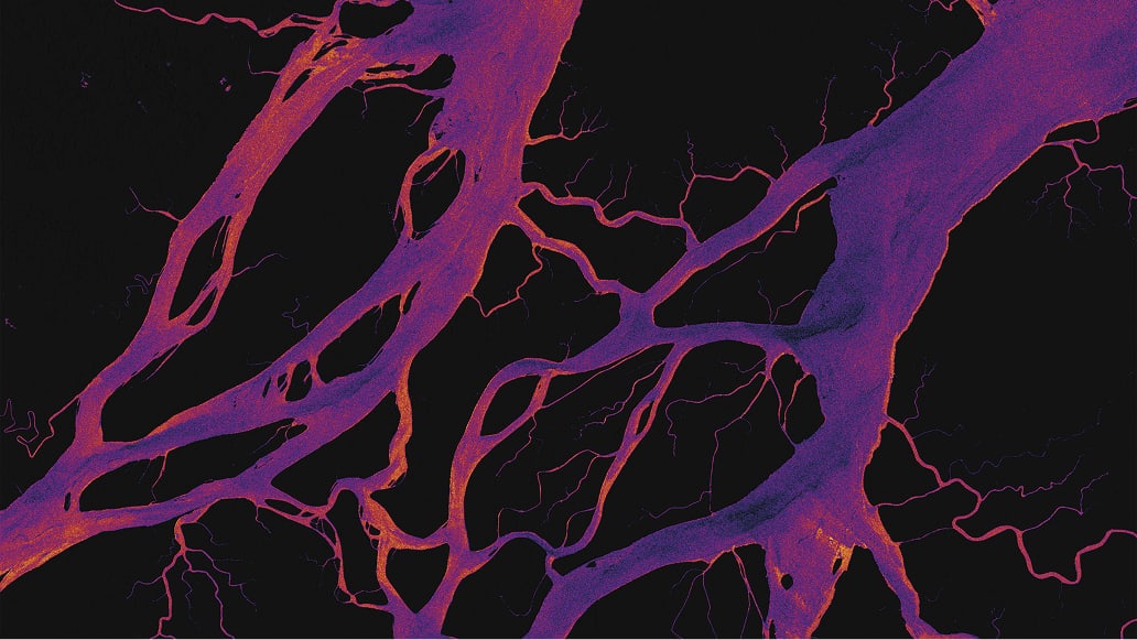 A dark map with bright pink and purple branching rivers and flow lines