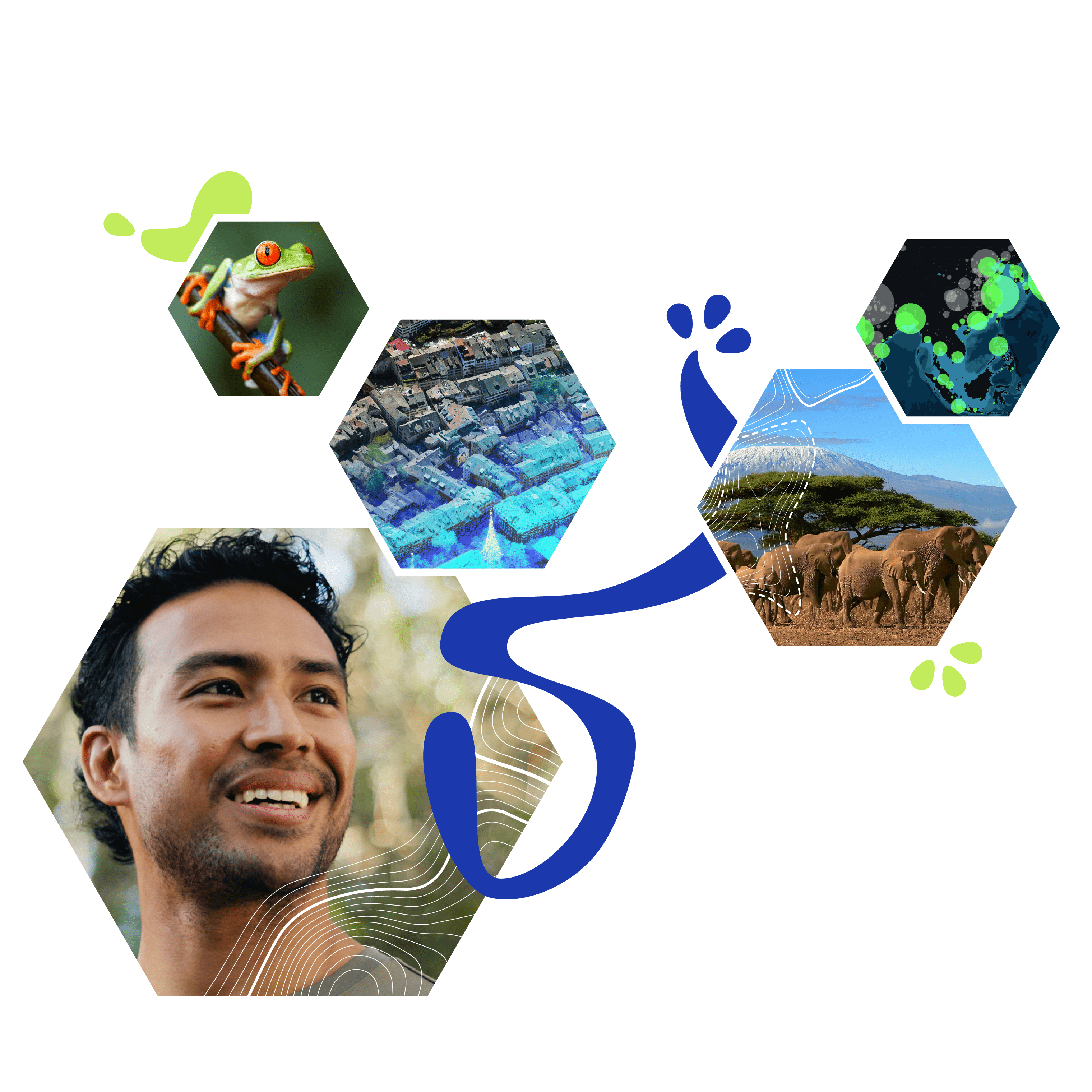 A collage of images including a person smiling, a green frog, a herd of elephants on a savannah, and an aerial view of buildings overlaid on a globe