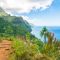 A lush green hillside overlooking the blue ocean on a Hawaiian island 