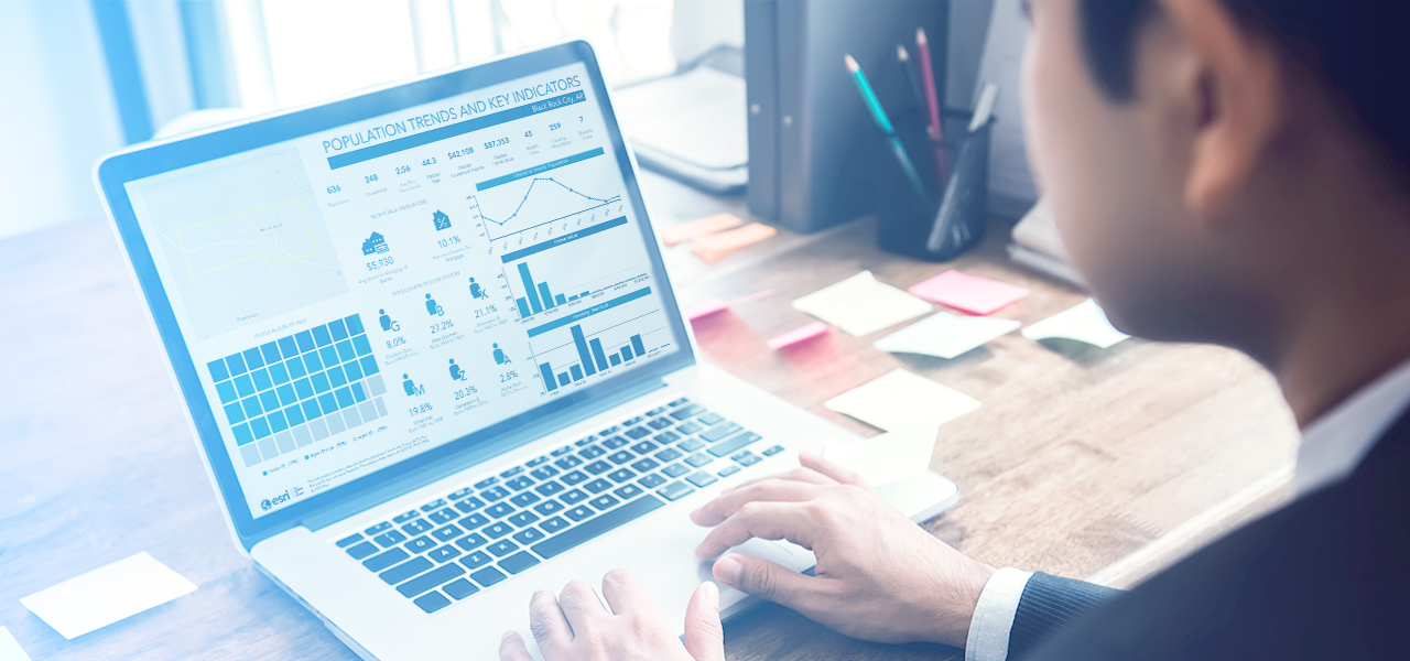 Pessoa no laptop que exibe dados sobre tendências populacionais com gráficos de barras e estatísticas