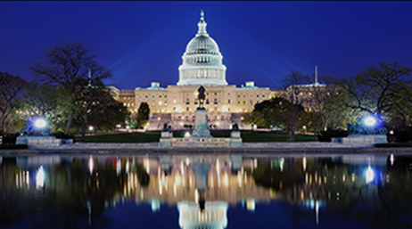 The US Capitol Building at night with green trees and a bronze statue in front and a body of water
