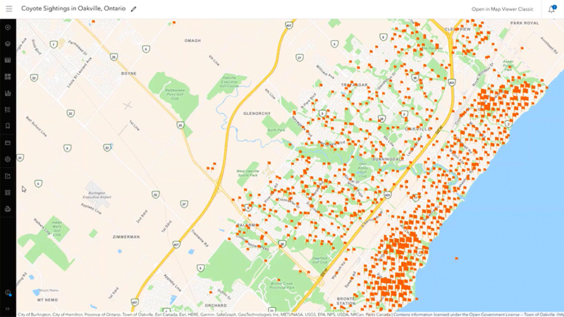 A map with many orange dots pinpointing where coyotes have been seen on land overlaid with a play button