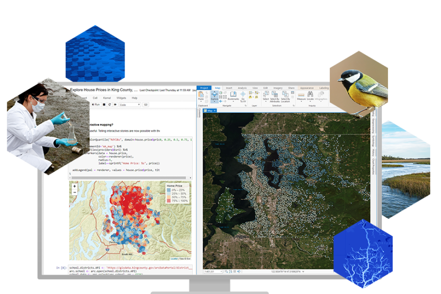A computer desktop displaying two windows featuring maps and computer code overlaid with images of a researcher, a bird, and other graphic elements