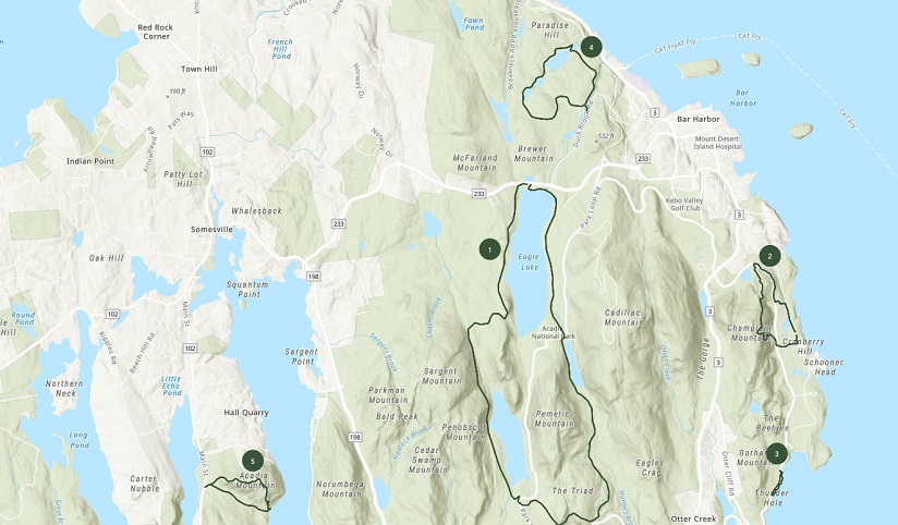 Carte topographique ombrée en blanc et vert entourée d’eau sur laquelle sont fixées cinq punaises de localisation vertes