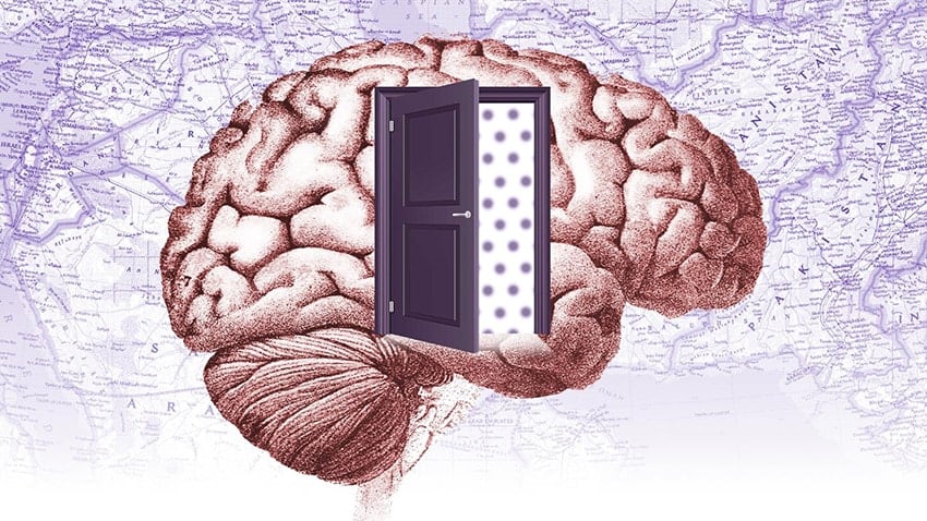 An illustration of the human brain with a door opening into it displayed on a light purple map
