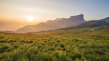 黄金色の朝日に染まる緑の牧草地と遠方にそびえる山の写真