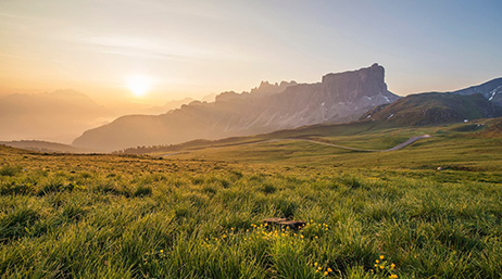 A green pasture with mountains rising in the distance bathed in golden light