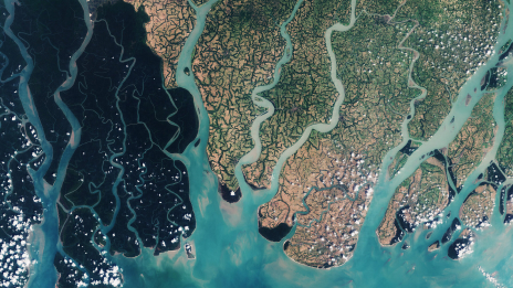 A satellite map contrasting brown and blue land against bright blue water inlets throughout