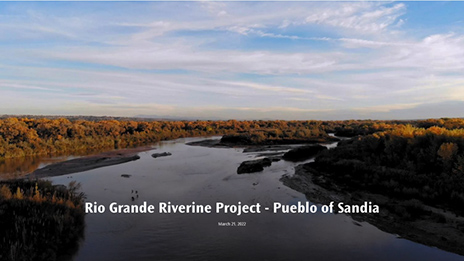 Image of the Rio Grande Riverine with trees on either side at dusk. 