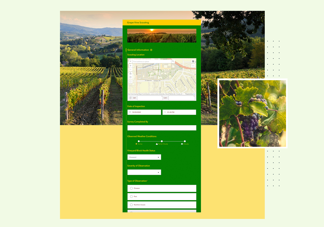 A digital form for grape vine scouting with text and a map next to images of purple wine grapes and a green vineyard