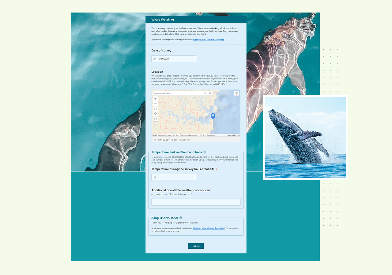 A blank digital form for whale watching with a map and text next to two images of whales swimming in the ocean