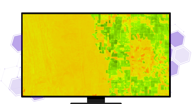 A graphic of a computer monitor displaying a heat map in green and orange on a yellow background