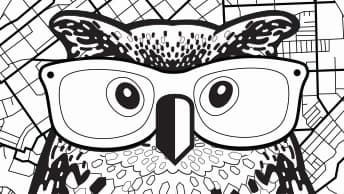 Drawing of an owl wearing large glasses, with a map grid in the background