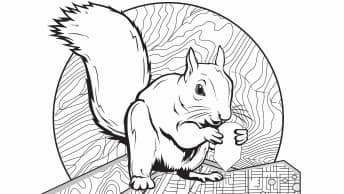 Drawing of a squirrel holding an acorn in front of a round map