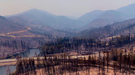 Aerial view of burned land and trees from wildfire