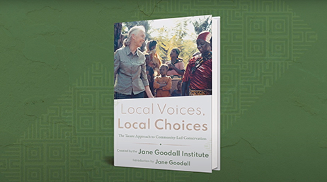 The Local Voices, Local Choices book on a green background
