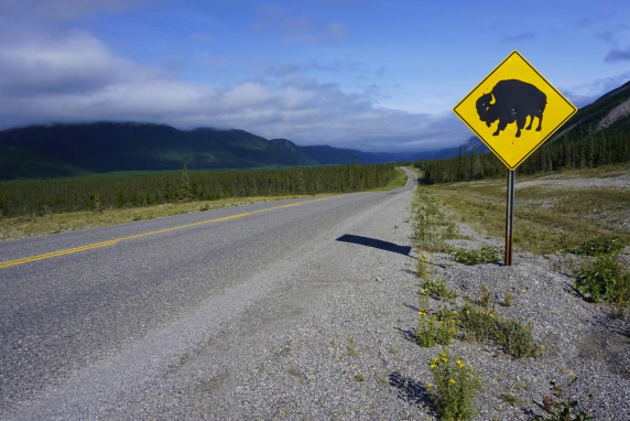 A highway through green plains beside a yellow warning sign featuring a buffalo, with dark mountains and a cloudy blue sky in the background