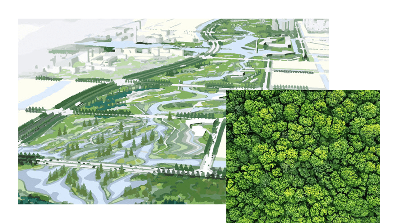 A 3D rendering of a large city park in green and white overlaid with an aerial photo of dense green treetops