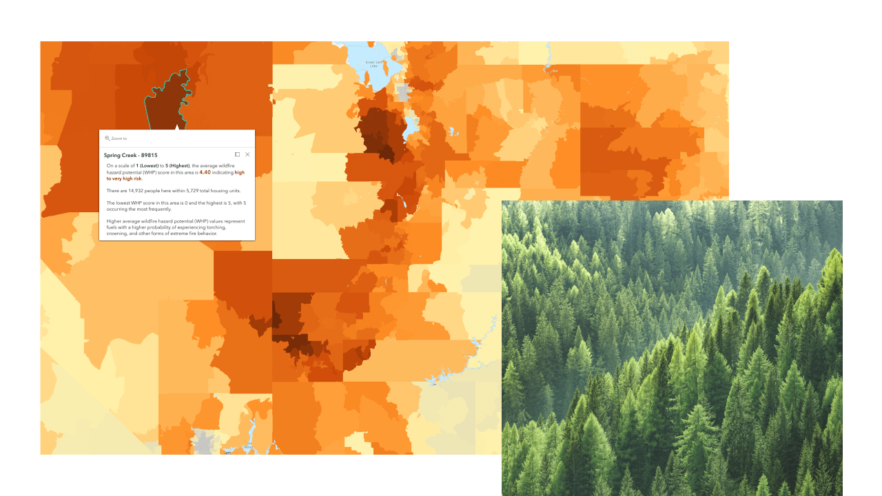 A heat map in shades of orange and gold overlaid with an aerial photo of dense green forest treetops