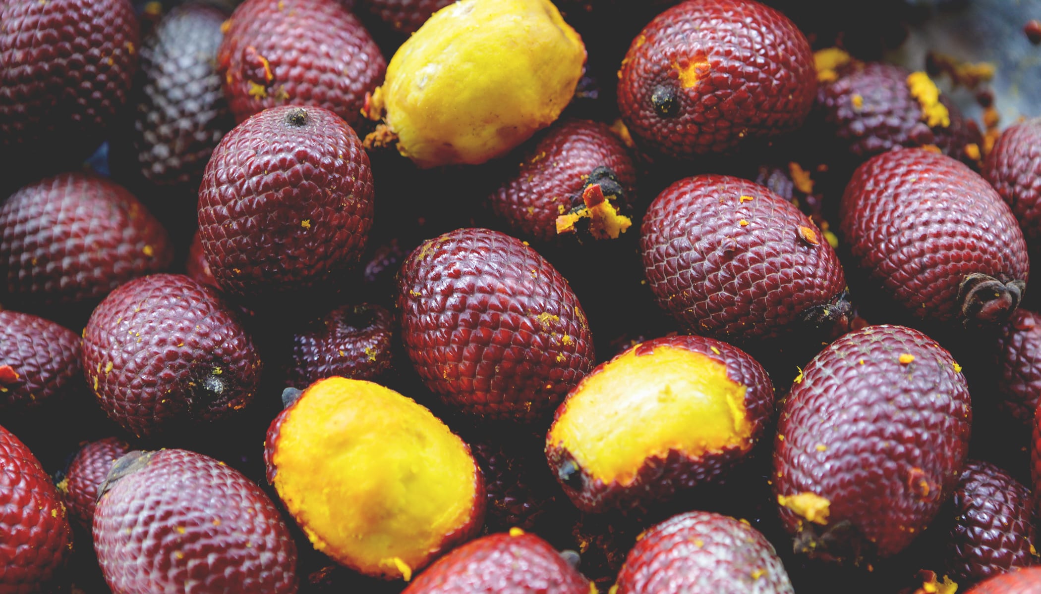 Close-up view of a pile of buriti fruit