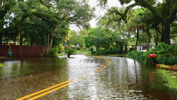 A flooded neighborhood roadway in Fort Lauderdale with the street and yards of homes completely submerged