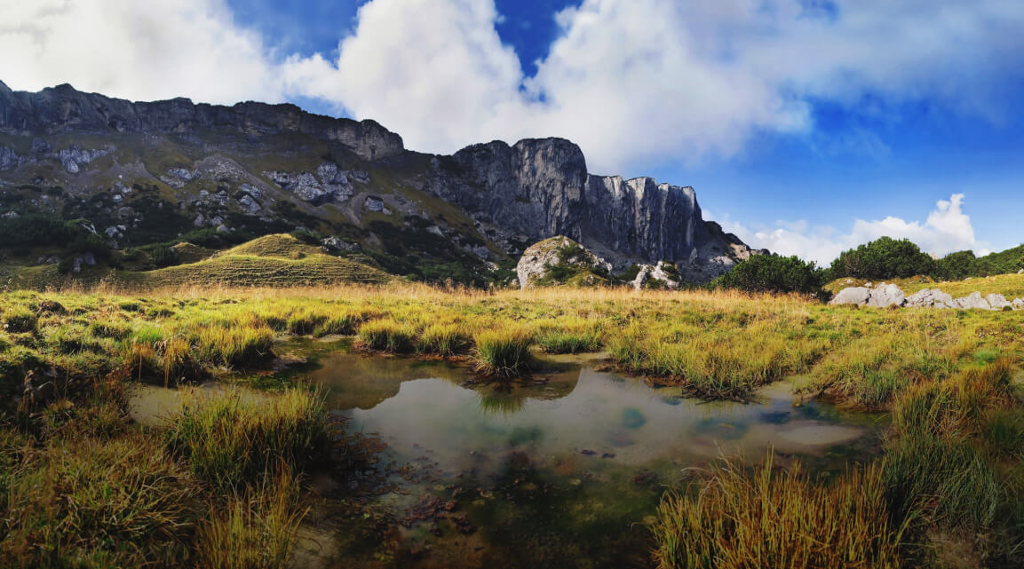 Green and gold peatland landscape of grasses and water rolling into a rocky outcrop against a brilliant blue sky and clouds